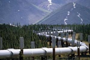 Газпром и Роснефть спорят из-за лицензии