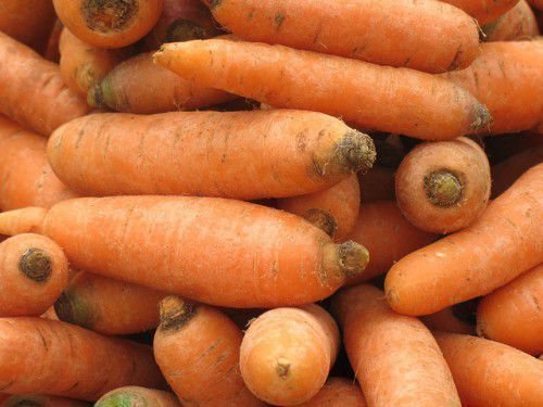 Якщо вас цікавить правильний підбір сорту моркви для Підмосков'я, то можемо поділитися корисною інформацією