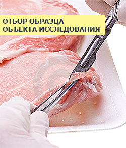 Основні етапи аналізу харчових продуктів