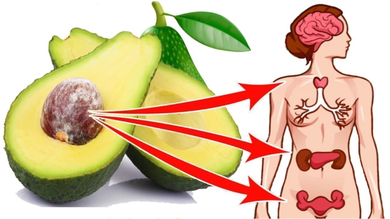 Авокадо - це екзотичний фрукт, що володіє великою харчовою цінністю, так як він містить в собі масу корисних речовин