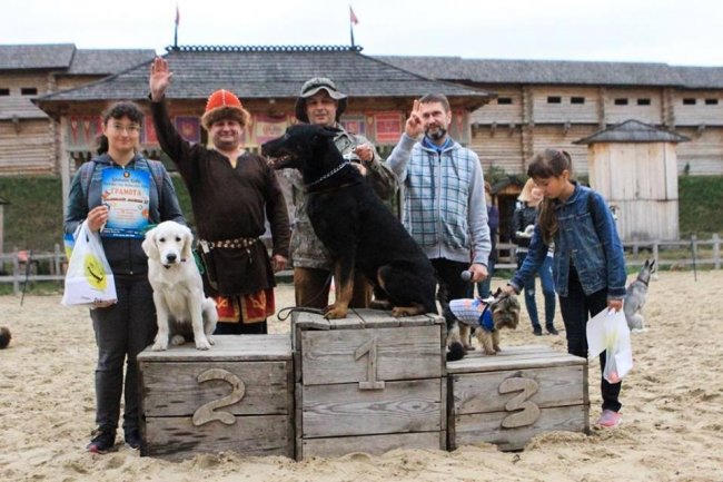Фестиваль собак Кошлаті лапки (Парк Київська Русь, село Копачів)