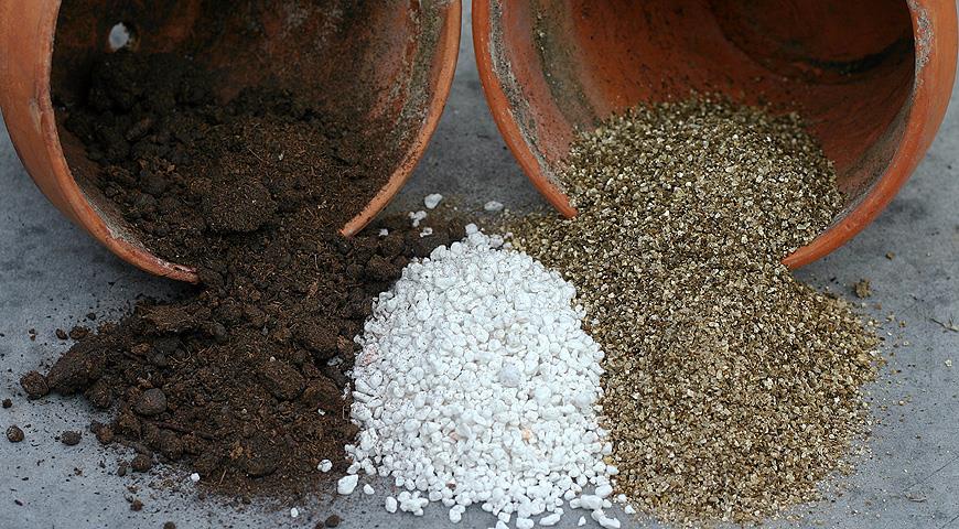 До основних рис вермикуліту і перліту - це розпушення грунту і поліпшення її структури