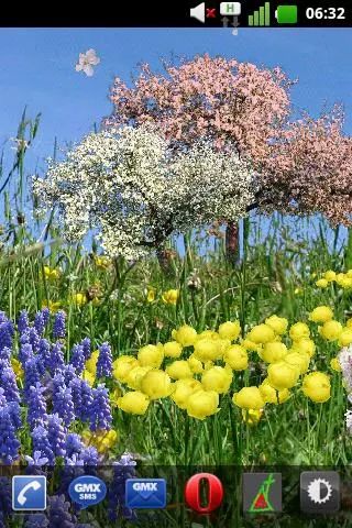Живі шпалери Spring Flowers
