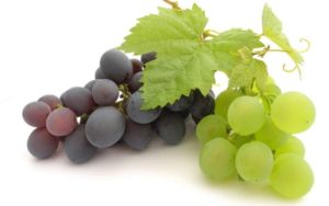 Розглянемо кілька самих улюблені технічні сорти винограду